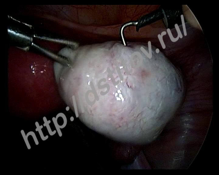 foto-na-0815-min-5124329