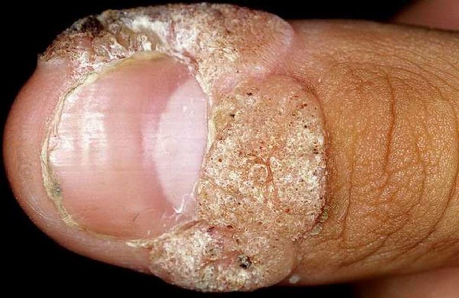 b-o-foto6-900x585-1610214