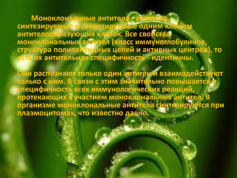 monoklonalnyie-antitela-2-800x600-9832915
