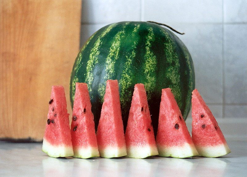 d0bed182d180d0b0d0b2d0bbd0b5d0bdd0b8d0b5-d0b0d180d0b1d183d0b7d0bed0bc-1-7290267