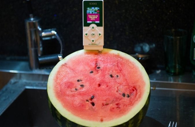 otravlenie-arbuzom-vzroslyh3-2863696