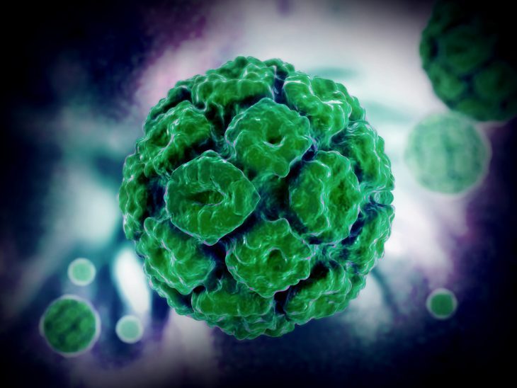 externallink_shutterstock_363779741-9763150