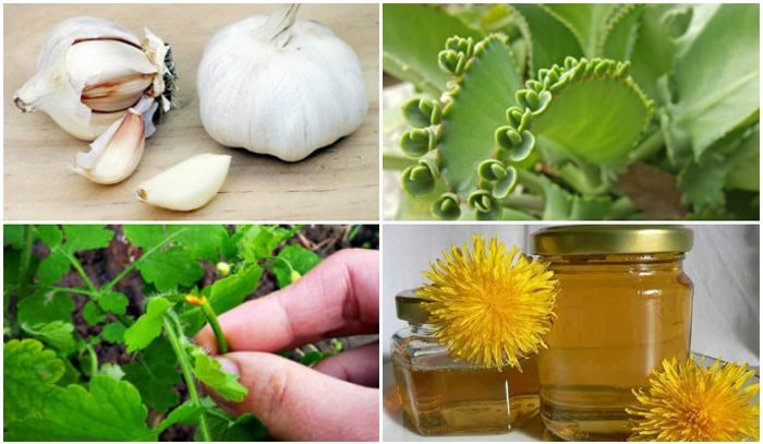 narodnye-sredstva-ot-papillom-1-1967282