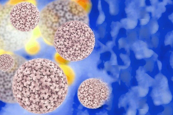 virus-papillomy-cheloveka-3-5751408