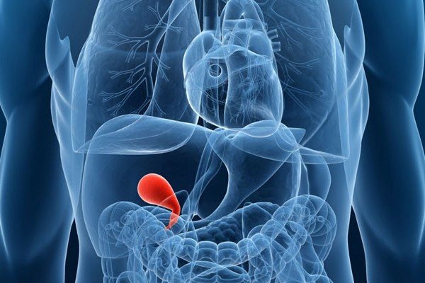 1_5331464503a075331464503a48-1005673