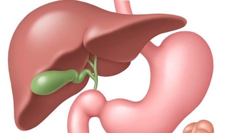 peregib_zhelchnogo_puzyrya_1-6576748