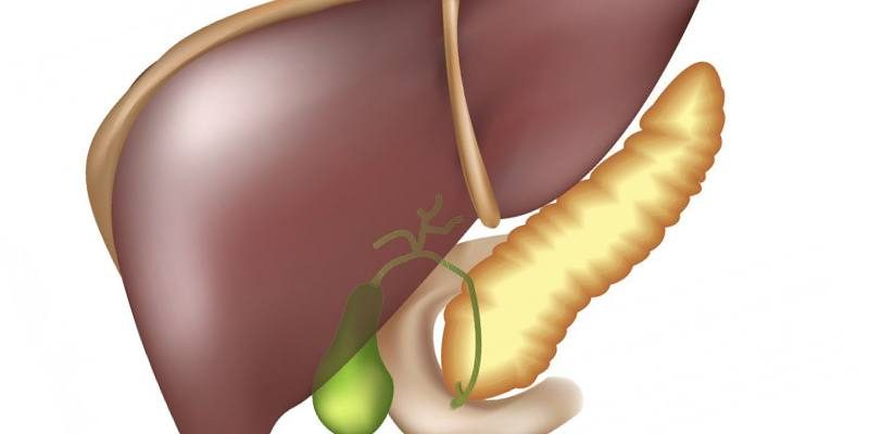 zhelchnyiy-puzyir-gde-nahoditsya-i-kak-bolit-8617086