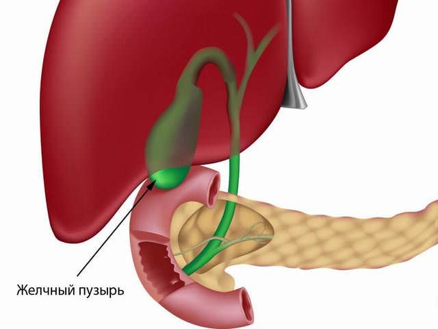 zhelchnyj-puzyr-simptomy-zabolevanija1-3566126