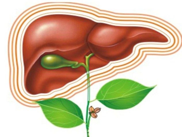 zhelchnyy_puzyr_15-632x475-7937235