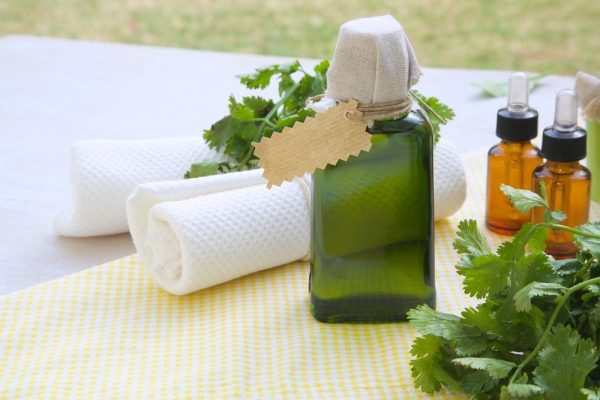 efir-koriandra-v-steklyannyh-sosudah-i-rastenie-600x400-3012788