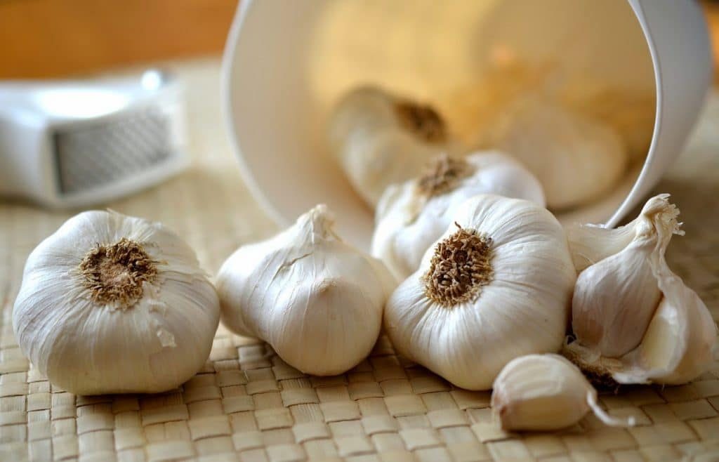 garlic-545223_1280-1024x658-9588384