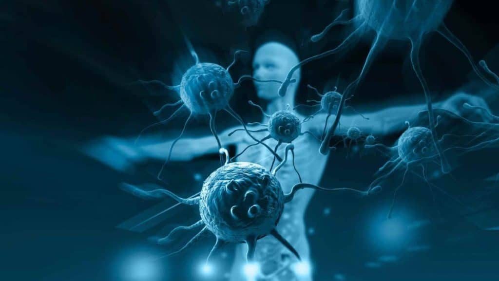 immuun-1024x577-5943902